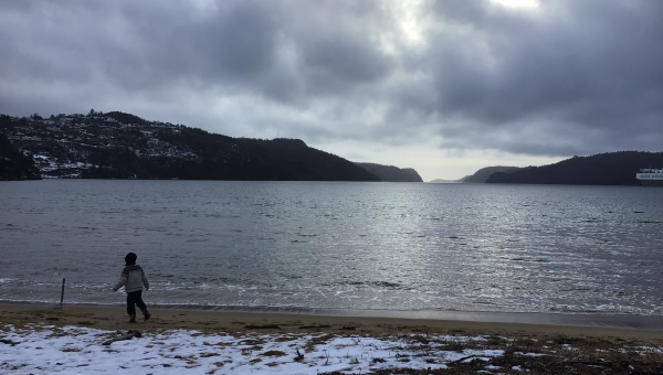 Utsikt over stranda frå Rosfjord Strandhotell